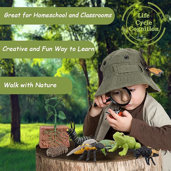 Mbrain 4pcs Butterfly Growth Cycle with Flash Cards,Life Cycle Learning & Education Toys,Montessori Toys,Gift for Girl & Boy for 3 4 5 6 7 Year Old (Butterfly)