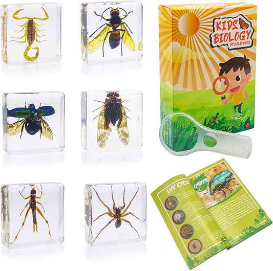 Insect Specimen Set, Bugs Collection Scientific Education Gift for Kids Aged 3-8-12 (Cicada, Wasp, Spider, Scorpion, Locust, Chafer)