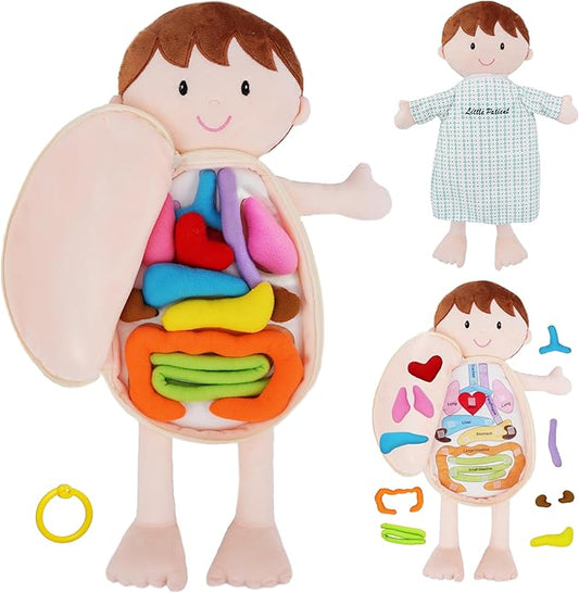 June Garden Little Patient Lucas Plush Anatomy Doll - Soft Educational Toy with Removable Human Organs - Learn Basic Anatomy for Toddlers and Kids