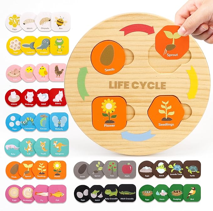 Woodtoe Life Cycle Toys for Kids, 12 Themes Montessori Preschool Science Center Materials, Wooden Learning & Educational Toys for Toddlers, Learning Game Travel Gift STEM Toys for Boys Girls Age 3-6