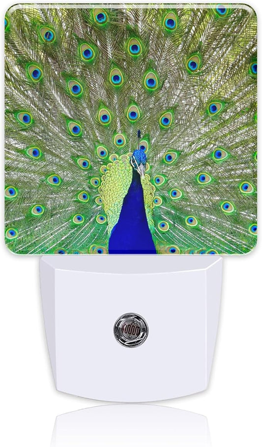 Night Light for Kids Girls Boys, Magnificent Peacock LED Night Light Plug into Wall with Dusk to Dawn Sensor for Room Decor, Hallway, Kitchen, Bathroom, Nursery, Stairs