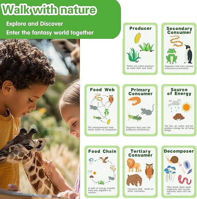 Life Cycle Toys for Kids-Food Chain & Food Web Science Education Toys - Montessori Animal Life Cycle Learning Toys for Toddlers-Preschool Classroom Must-Have Science Kits for Kids
