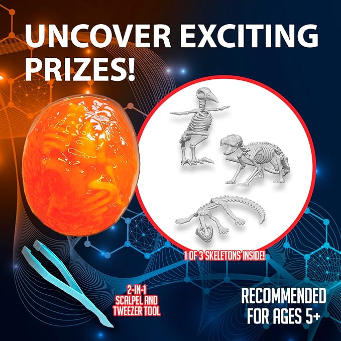 Discover-It Dissection Kit for Kids, Owl Pellet Science Lab Kit to Learn About Animals, Science Toys for Kids Ages 5 and Above