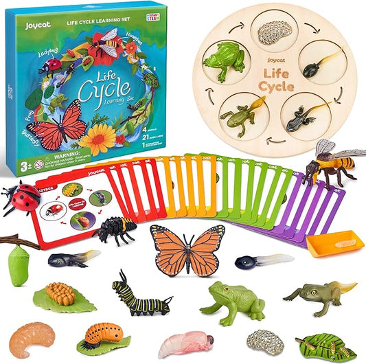 JoyCat Life Cycle Learning Education Toys, Insect Caterpillar to Butterfly kit, Ladybug, Bee, Tadpole to Frog Kit Life Cycle Toys for Kids, Preschool Learning Activities for Age 3 4 5 6 7 8