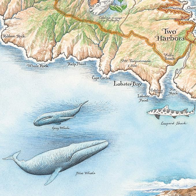 Santa Catalina Island Map Cardboard Jigsaw Puzzle - 1000 Pieces, Hand-Illustrated - Educational, Family Activity, Ages 7+, Includes Poster - 25.4 x 19.8