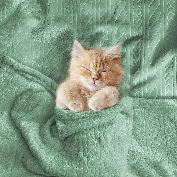 BORITAR Baby Blanket for Boys Soft Fluffy Fuzzy Blankets, Warmer Comfort 3D Lightweight Bed Blanket for Toddlers Infant Newborn and Home Decor (30x40 inch, Sage Green)