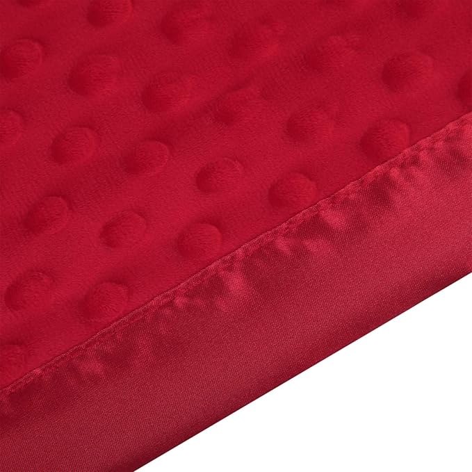 Pro Goleem Baby Soft Minky Dot Blanket with Silky Satin Backing Baby Gifts for Boys and Girls (Red, 30’’ x 40’’)