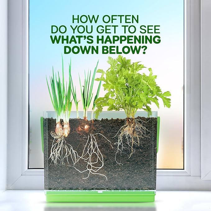 Dan&Darci Root Viewer Kit for Kids - Grow Your Own Plant for Boys & Girls Gifts - Science STEM Toy & Craft Growing Kits for Ages 4-8 Birthday Gifts for Boy, Girl 4, 5, 6, 7, 8, Year Old - Gardening