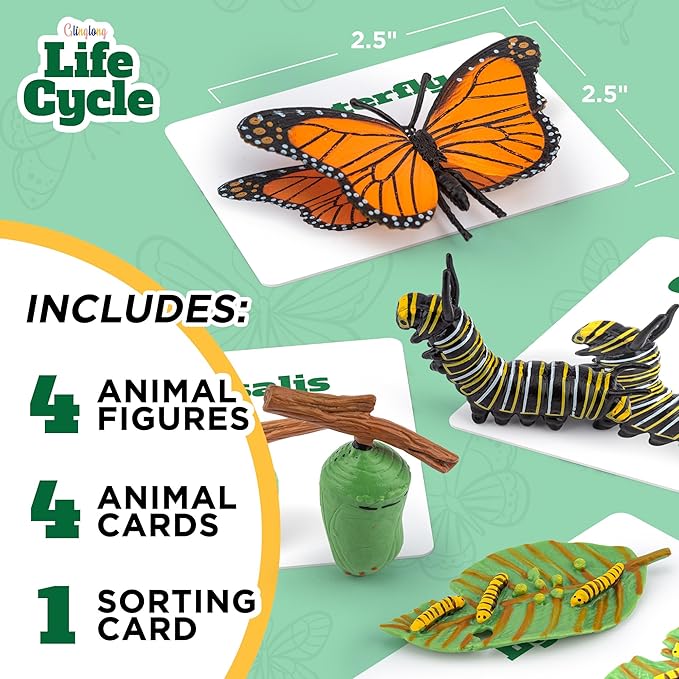 Life Cycle Kit Montessori - Realistic Figurine Toys, Kids Animal Matching Game with Butterfly, Catterpilar & More - Stocking Stuffers Science,Fun for Learning & Education Toys, for Children 3+