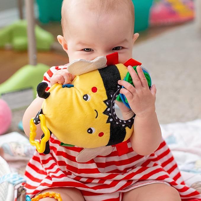 Squish 'N Play Bee Activity Toy - Multi-Sensory Learning Baby Toy - Stroller, Car Seat, Tummy Time, Teether - Baby Gift with Mirror, Rattle & Taggies