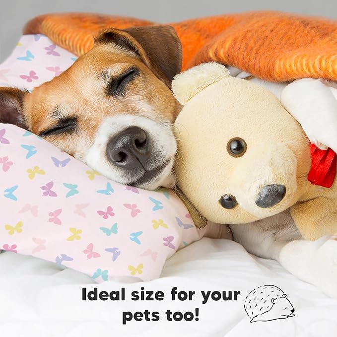 Toddler Pillow with Pillowcase - 13x18 My Little Dreamy Kids Travel Bed Pillows for Sleeping, Organic Cotton Small Pillowcase, Soft & Breathable, Machine Washable, Toddlers 2-5 Years Old (Flutter)