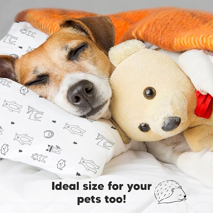 Toddler Pillow with Pillowcase - 13x18 My Little Dreamy Kids Travel Bed Pillows for Sleeping, Organic Cotton Small Pillowcase, Soft & Breathable, Machine Washable, Toddlers 2-5 Years Old (KeaFriends)