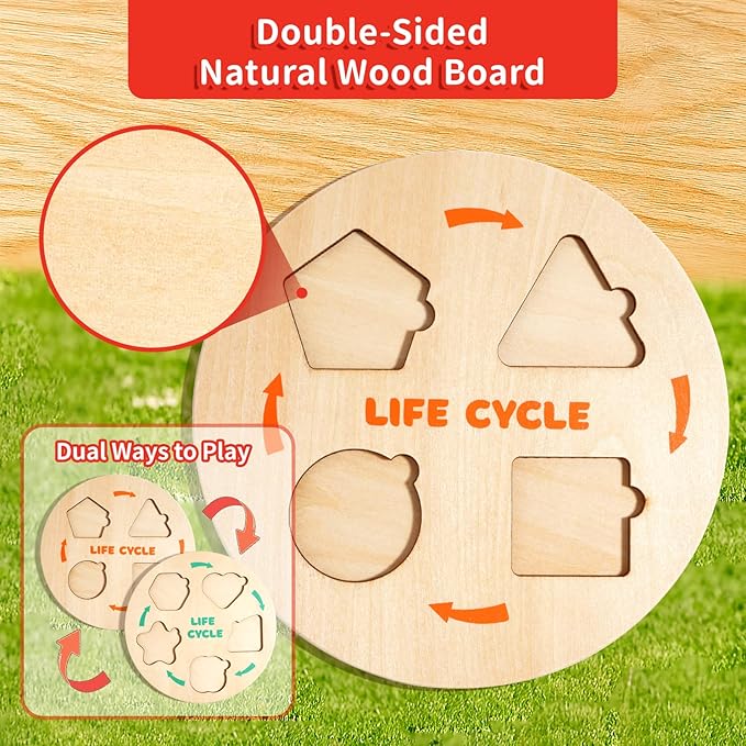 Montessori Wooden Preschool Educational Toys Set for Toddlers 3-6,Life Cycle Puzzle, Shape Sorting Matching Game & Ecosystem Science Center – STEM Learning Gifts for Boys & Girls