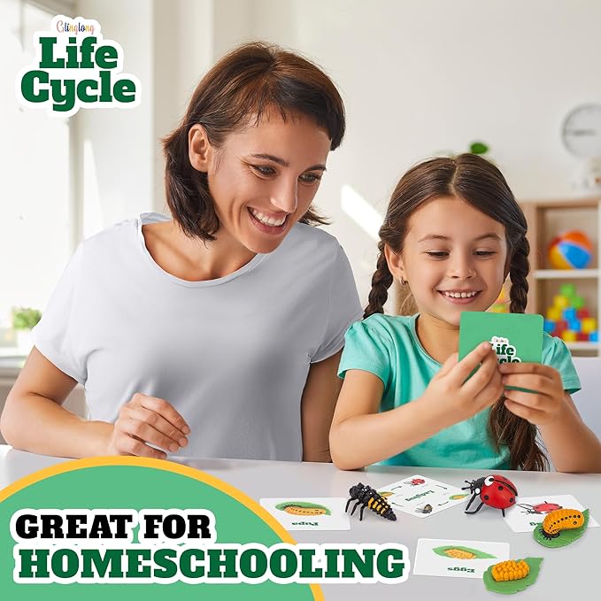 Life Cycle Kit Montessori - Realistic Figurine Toys, Kids Animal Matching Game with Ladybug, Stocking Stuffers Science, Fun for Learning & Education Toys, for Children 3+
