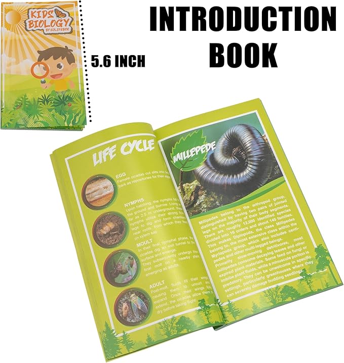 Insect Specimen Set, Bugs Collection Scientific Education Gift for Kids Aged 3-8-12 (Millipede, Centipede, Dragonfly Larvae, Tea Seed Bug, Red Longhorn Beetle, Spiny Spider)