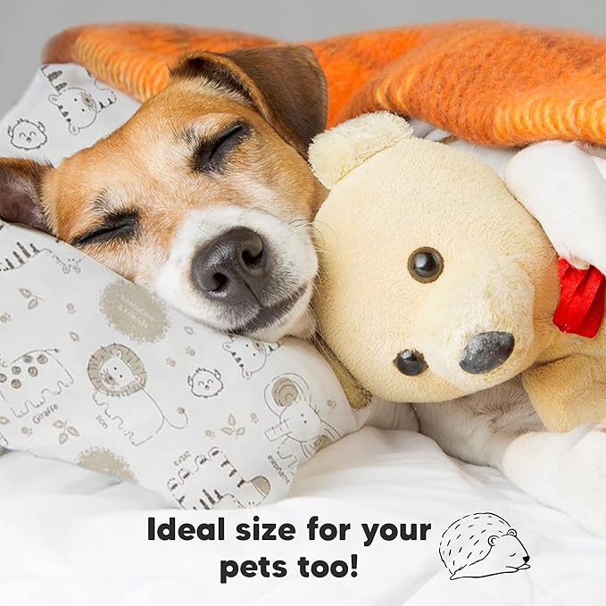 Toddler Pillow with Pillowcase - 13x18 My Little Dreamy Kids Travel Bed Pillows for Sleeping, Organic Cotton Small Pillowcase, Soft & Breathable, Machine Washable, Toddlers 2-5 Years Old (KeaSafari)