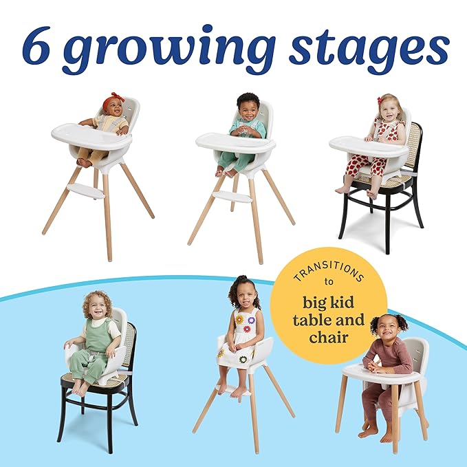 Graco Table2Table Lux Highchair, 6 Growing Stages from Infant High Chair to Big Kid Chair and Table, Rhodes