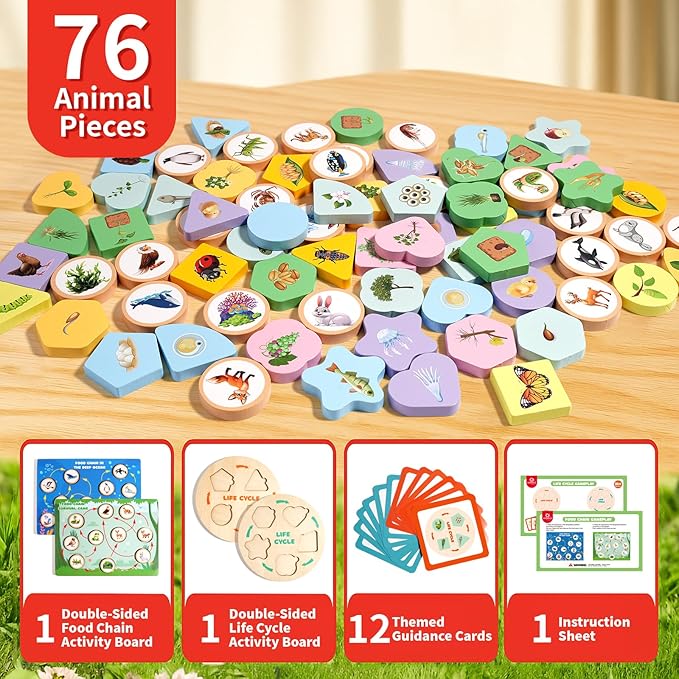 Montessori Wooden Preschool Educational Toys Set for Toddlers 3-6,Life Cycle Puzzle, Shape Sorting Matching Game & Ecosystem Science Center – STEM Learning Gifts for Boys & Girls