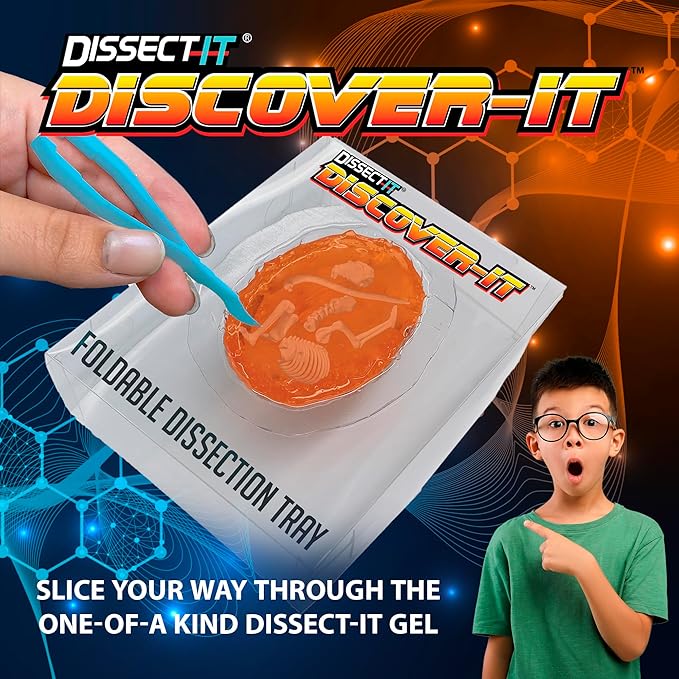Discover-It Dissection Kit for Kids, Owl Pellet Science Lab Kit to Learn About Animals, Science Toys for Kids Ages 5 and Above