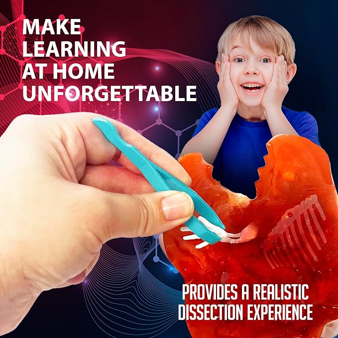 Dissect-It Discover-It Dinosaur Dig Kit, Dissecting Gel Kids Science Kit Project to Learn Anatomy, STEM Toys for Ages 6 and Above