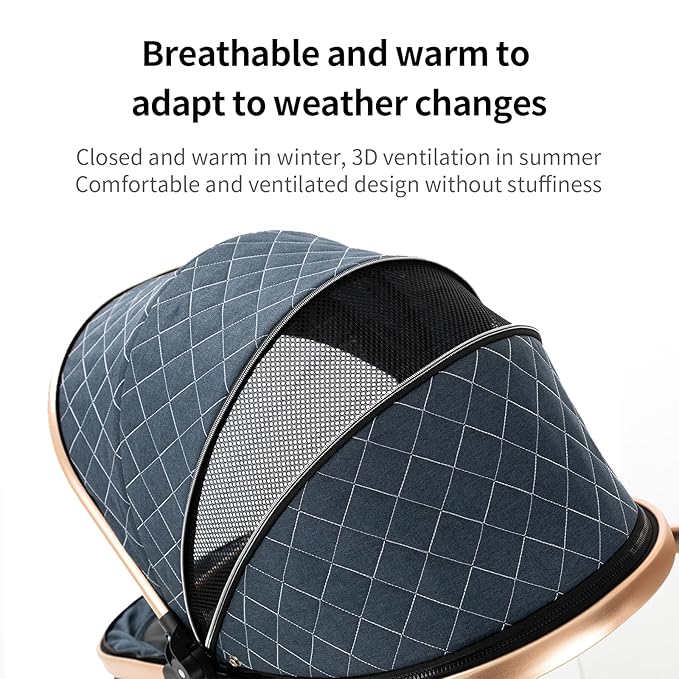 2 in 1 Baby Stroller, Convertible Pram, Reversible Standard Stroller, Portable Baby Buggy, Infant Carriage, Foldable High Landscape Pushchair for Toddler Newborn (225 Grey)