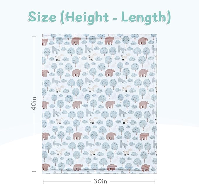 QSTEHEML Baby Blankets for Boys Neutral,Super Soft Nursery Minky Blanket Unisex, Baby Gifts Double Layer with Dotted Backing, Nursery Blanket for Crib Stroller(Bear, 30 * 40inch)