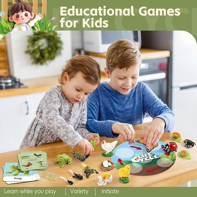 Life Cycle Kit Toy Montessori, Realistic Figurines Set for Kids with 25 Pieces Animals & Plants, Learning & Education Activity Games for Children 3 + |Preschool Classroom Must Haves