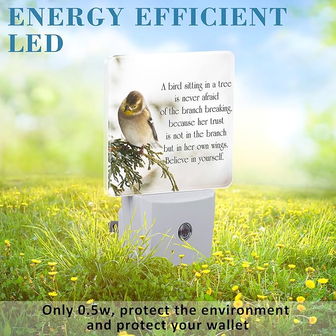 Plug in Night Lights Inspirational Quote on Life Nightlight Plug Into Wall Dusk to Dawn Sensor LED Night Light for Kid Girls Boys Women Room Decor,Hallway,Kitchen,Bathroom,Nursery,Stairs