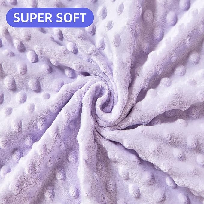 iEvolve Baby Nursery Bed Blankets Ultra Soft Double Layer Mini Blanket Minky Blanket Receiving Blankets Shower Gifts(30"*40",Roses)
