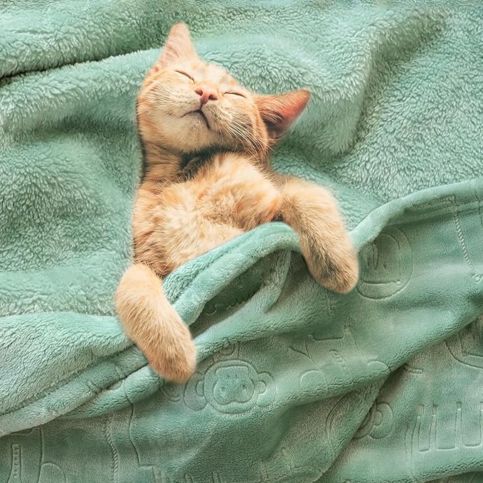 BORITAR Baby Blanket for Boys Girls Ultra Soft Fleece Warm and Lightweight Animal Blankets for Infant Toddler Newborn, 30x40 Inch, Sage Green