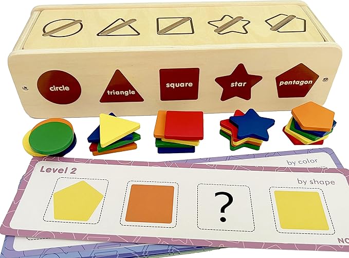 Dailyfunn Montessori Toys Color&Shape Sorting Learning Matching Box for Baby Toddlers 1-3 Year Old