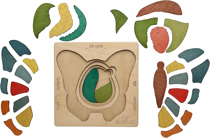 Life Cycle of A Butterfly | 31 Piece Wooden Multilayered Jigsaw Puzzles for Kids | Educational Toy and Gift for Boys & Girls 3 Years and Above