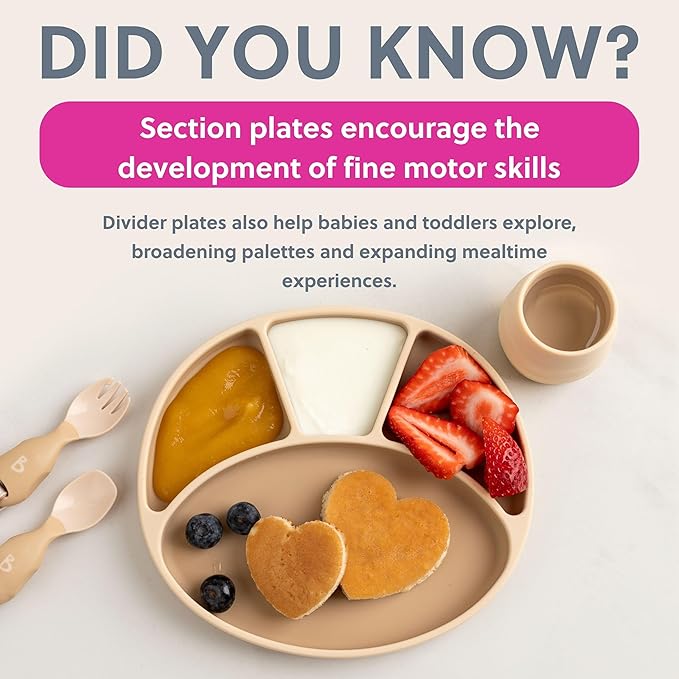 BIBaDO - Silicone Suction Divider Plate (Fawn) - Toddler Plates - Help Develop Motor Skills - Durable, Dishwasher & Microwave Safe, BPA Free - Medical Grade - Baby Essentials - 6 Months to 3 Years