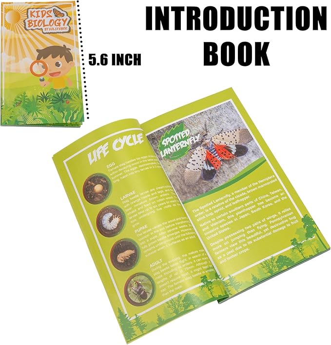 Insect Specimen Set, Bugs Collection Scientific Education Gift for Kids Aged 3-8-12 (Spider, Scorpion, Cricket, Chafers, Stink Bug, Spotted Lanternfly Resin Collection)