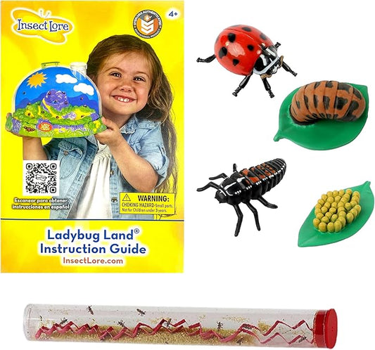 Insect Lore Live Baby Ladybug Larvae - Ladybug Growing Kit REFILL with Ladybug Life Cycle Toy Figurines - SHIP NOW