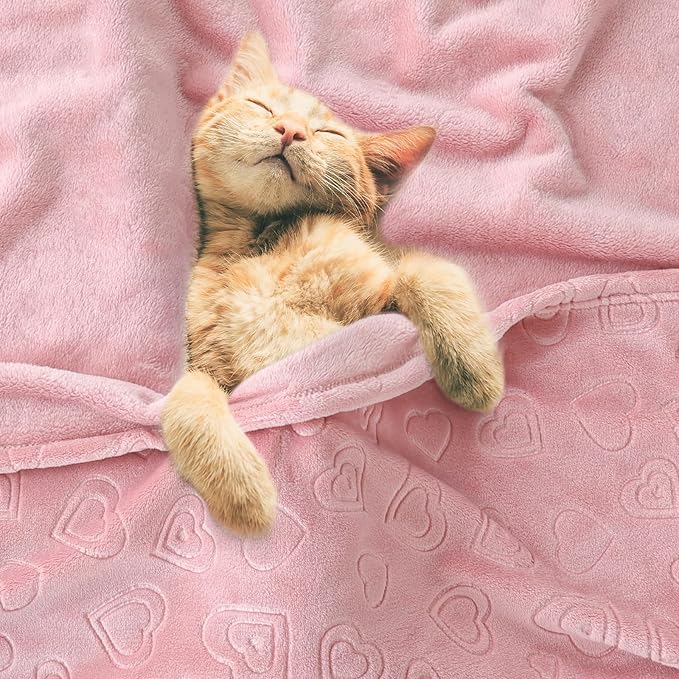 BORITAR Baby Blanket with Heart Design for Girls Ultra Soft Fleece Warm and Lightweight Blankets for Infant Toddler Newborn, 30x40 Inch, Blush Pink