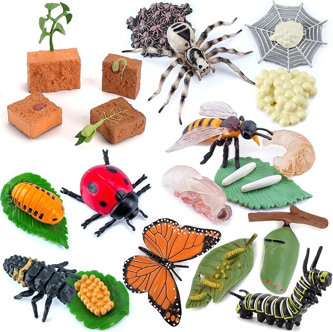 20 PCS Insect Animal Life Cycle Model Figure Plant Spider Bee Butterfly Figurines Ornament Cake Toppers Party Favors Supplies Cognitive Toy for Boys Girls Kids