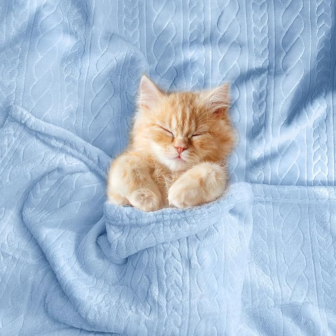 BORITAR 3D Fleece Baby Blanket for Girls Boys Fluffy Fuzzy Flannel Soft Warm Plush Cozy Bed Blanket for Toddlers Infant Newborn and Home Decor (30x40 inch, Baby Blue)