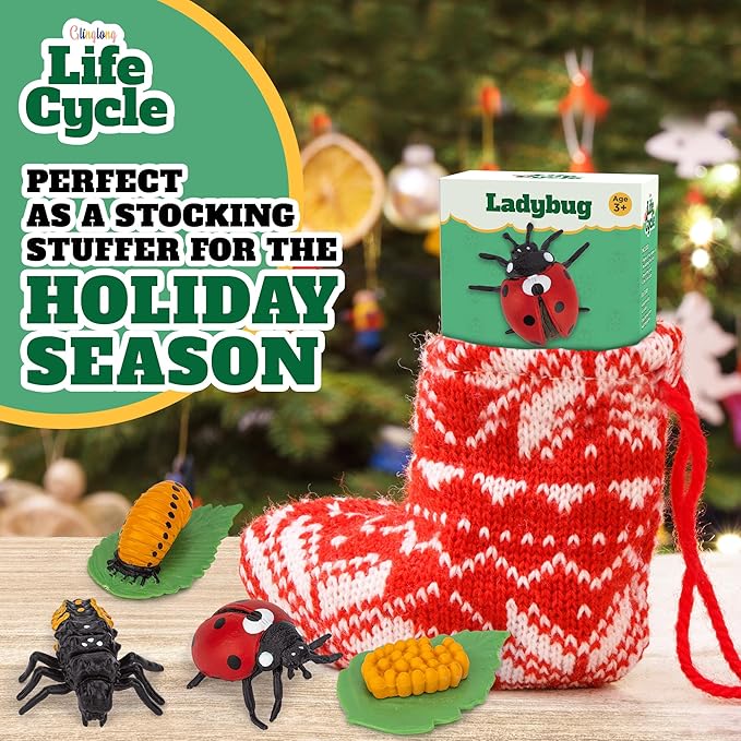 Life Cycle Kit Montessori - Realistic Figurine Toys, Kids Animal Matching Game with Ladybug, Stocking Stuffers Science, Fun for Learning & Education Toys, for Children 3+