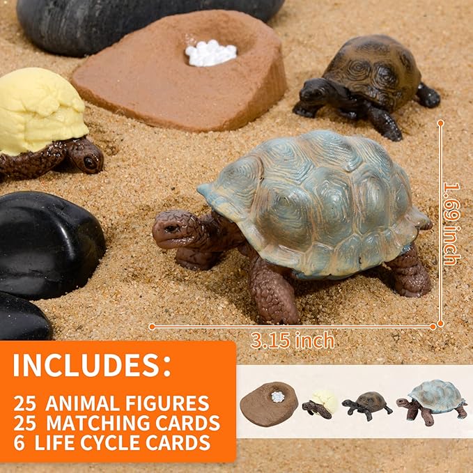 Montessori Life Cycle Animal Figurines Learning & Education Toys, Plastic Turtle Chicken Ant Plant Mantis Salmon Toys for Kids, Preschool Learning Activities for Toddlers