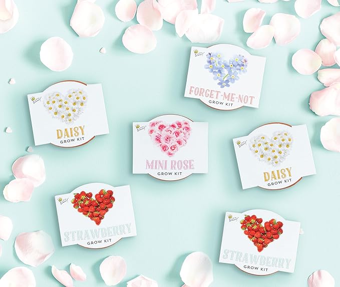 BUZZY Seeds Indoor Flower Starter Kit – Terracotta Mini Grow Pots for Kids & Adults, 6-Pack Love Collection – DIY Windowsill Gardening Kit, Wedding Favors, Party Favors, Bridal Shower Gifts