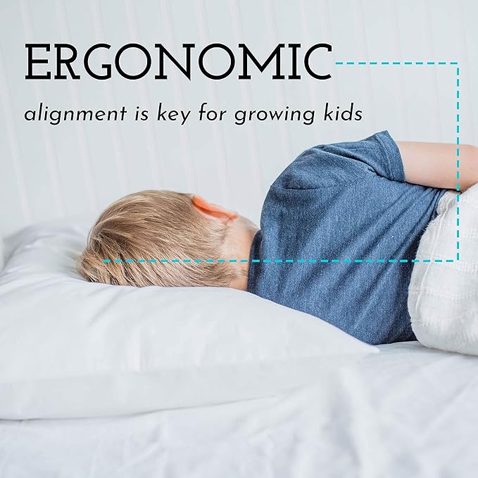 Little Sleepy Head Toddler Pillow with Pillowcase 13x18 - Kids Pillow for Sleeping - Better Neck Support Ergonomic Pillow and Toddler Pillowcase - Best Pillows for Kids (Dinosaurs Blue)