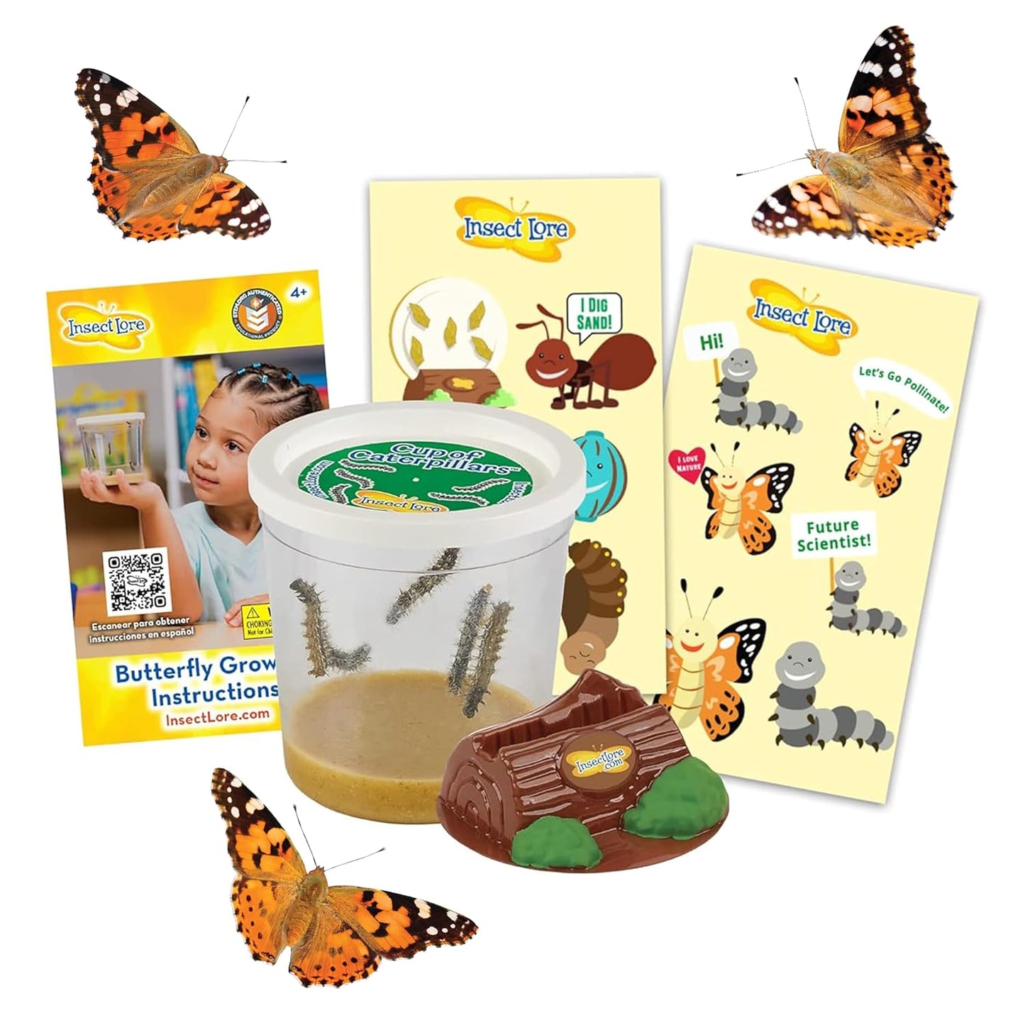 Insect Lore Cup of Caterpillars - 5 Live Painted Lady Caterpillars with Food - Refill for Butterfly Garden Kit - Stickers & Chrys-A-Lid Holding Log Included - STEM Learning Activity