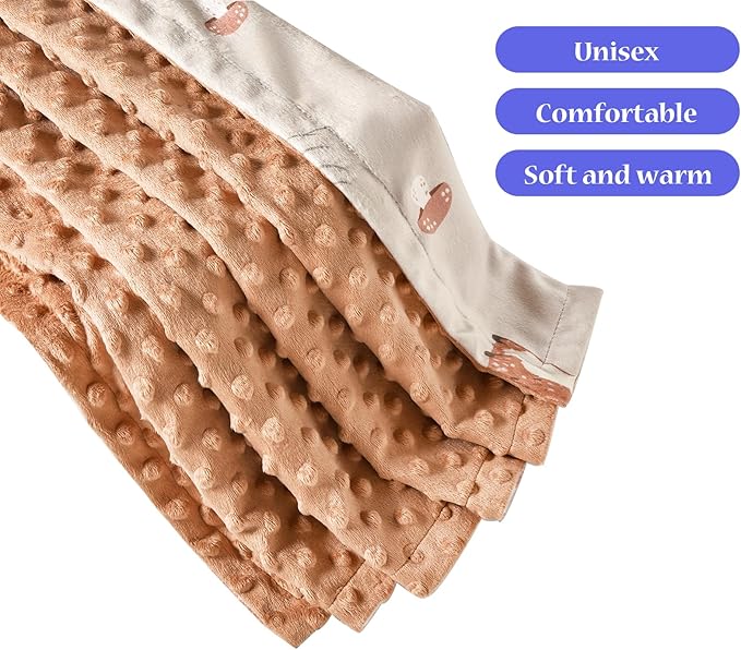 iEvolve Baby Nursery Bed Blankets Ultra Soft Double Layer Mini Blanket Minky Blanket Receiving Blankets Shower Gifts(30"*40",Fox)