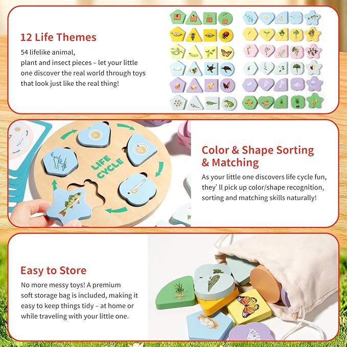 Montessori Wooden Preschool Educational Toys Set for Toddlers 3-6,Life Cycle Puzzle, Shape Sorting Matching Game & Ecosystem Science Center – STEM Learning Gifts for Boys & Girls