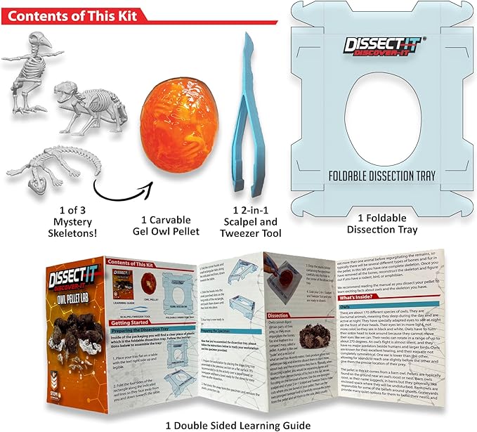 Dissect-It Discover-It Simulated Synthetic Lab Dissection STEM Toy, Complete Set of 4 Kits, Kids’ Home Learning Science Projects, Great for Young Scientists!