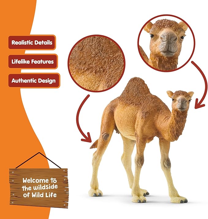 Schleich Wild Life Realistic Dromedary Camel Figurine - Authentic and Highly Detailed Wild Animal Toy, Durable for Education and Fun Play, Perfect for Boys and Girls, Ages 3+, Multicolor, 3.9 inch