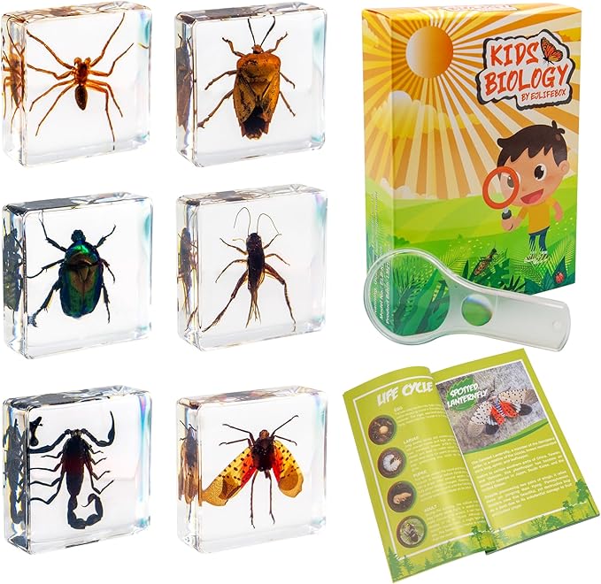 Insect Specimen Set, Bugs Collection Scientific Education Gift for Kids Aged 3-8-12 (Spider, Scorpion, Cricket, Chafers, Stink Bug, Spotted Lanternfly Resin Collection)