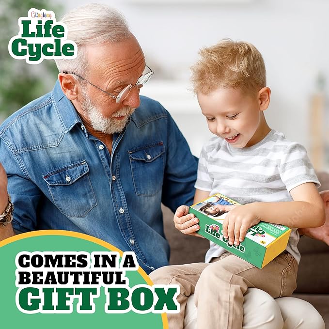 Life Cycle Animal Kit - Montessori Science Toy with 24-Piece Matching Game, Includes Butterfly, Frog, Chicken, Bee, Ladybug & Turtle STEM Educational Gift for Kids Ages 3 4 5 6 7 8