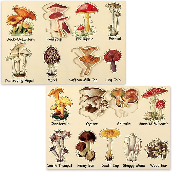 Kathfly 2 Pieces Leaf Wooden Jigsaw Puzzles Leaf Puzzle Montessori Toy Early Educational Learning for Birthday Gift Early Education School(Novelty)